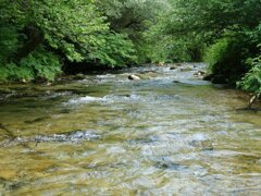 torrente aniene 40.jpeg