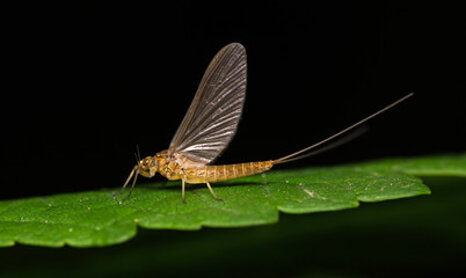 be90b1a5-848c-4b79-8b6b-f6f240c45a17 be90b1a5-848c-4b79-8b6b-f6f240c45a17