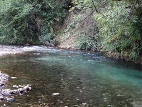 14238369_672344792942417_2824032394063812738_n 14238369_672344792942417_2824032394063812738_n