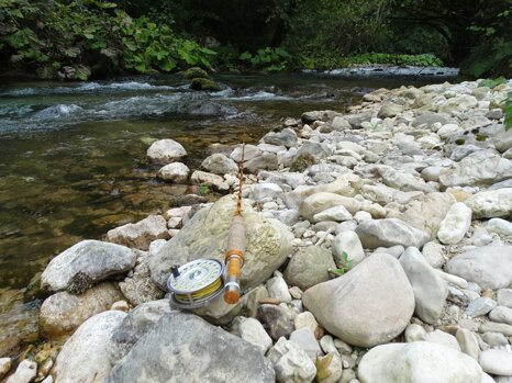 14232966_672336452943251_1358370414092897790_n 14232966_672336452943251_1358370414092897790_n