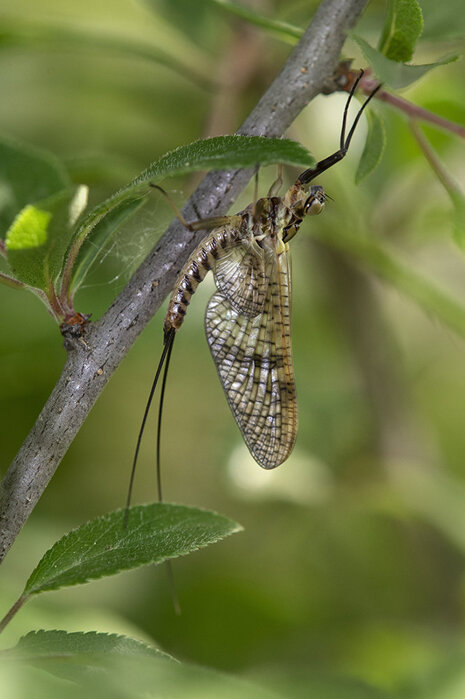 e3aa2327-c481-4188-a584-be858797809b e3aa2327-c481-4188-a584-be858797809b