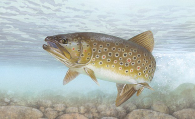 3d414a08-9818-4109-b870-bca15e78c12c