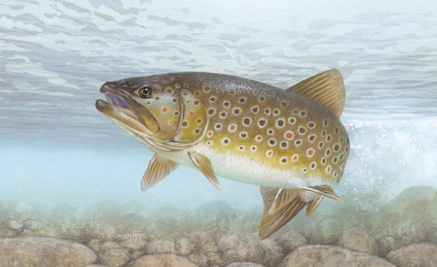 3d414a08-9818-4109-b870-bca15e78c12c