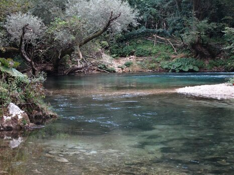 14316747_672345262942370_4406615701870690043_n 14316747_672345262942370_4406615701870690043_n