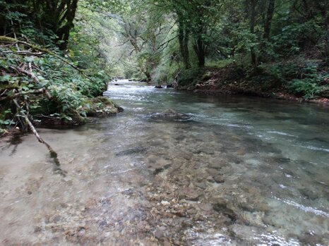 14237682_672338309609732_5351227617514347211_n 14237682_672338309609732_5351227617514347211_n