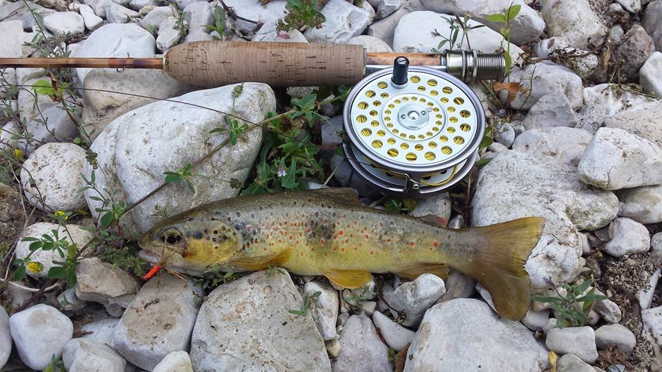 18813808_10209469924318210_3116304260165000814_n