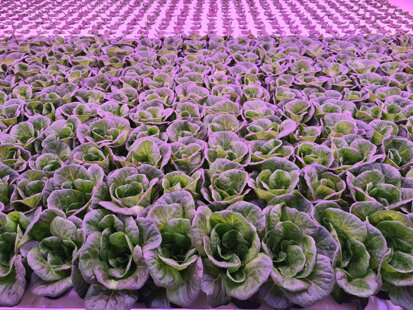 e4a2b9ae-a9b9-4942-a31e-9592a5ae3922