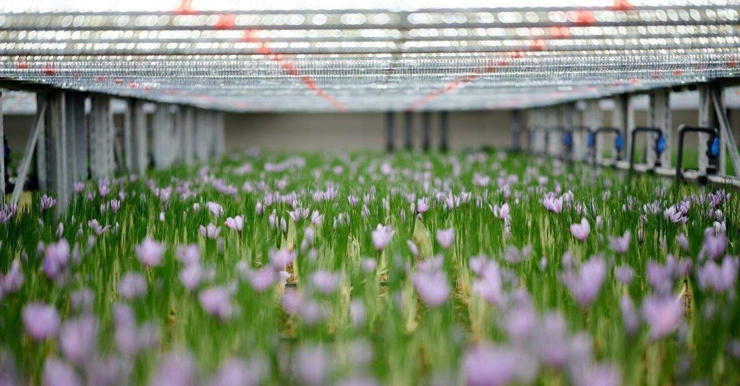 b83b5453-b806-4d3f-96af-42f34e863f54.jpeg b83b5453-b806-4d3f-96af-42f34e863f54.jpeg