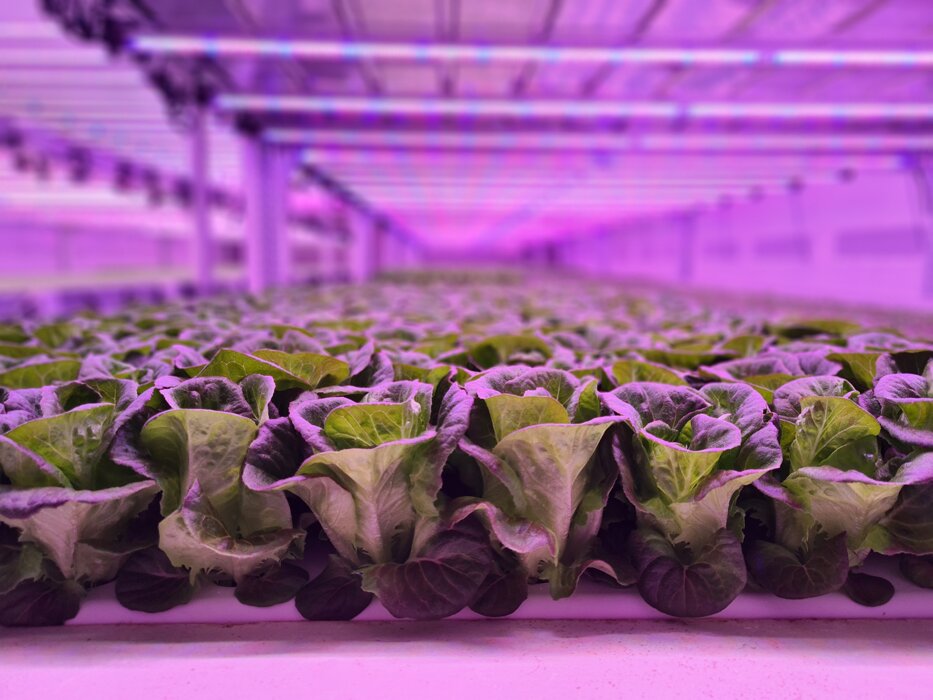 cbad59eb-fdda-4358-b8da-26656741ac65 cbad59eb-fdda-4358-b8da-26656741ac65