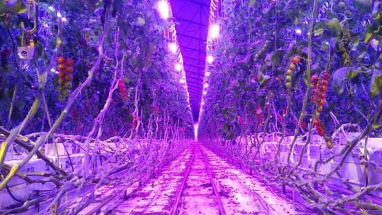 1786d9f3-fd20-4f74-8245-8dcebf5a2679