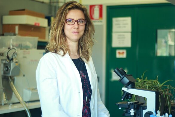 d8e07572-4427-495d-bad9-7b5f700391c2