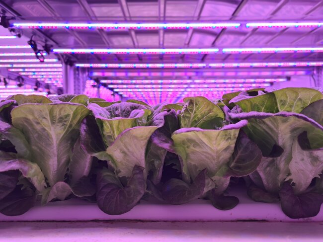 e850af61-1dd7-427e-8f58-f3df3aa95762 e850af61-1dd7-427e-8f58-f3df3aa95762