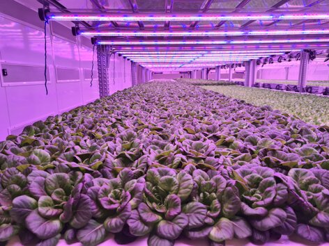 ddd7c473-01cb-4f61-b691-a0f176d1b38c