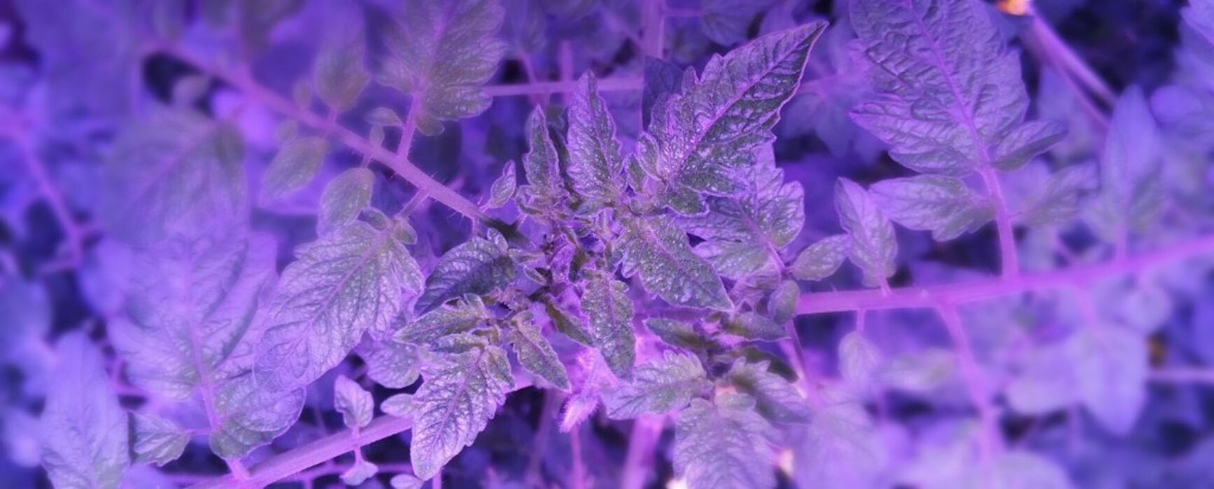 eed846cc-cbf2-4ecf-93a5-c1cb623bea6b