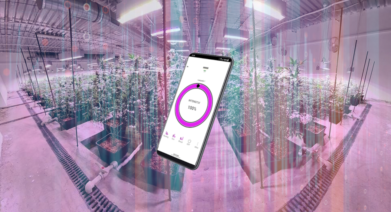 c94720fa-d2ef-4448-8ef4-e594eef8cd6a