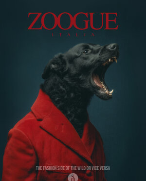 zoogue_12.jpeg zoogue_12.jpeg