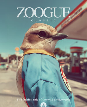zoogue%20classic_4.jpeg zoogue%20classic_4.jpeg