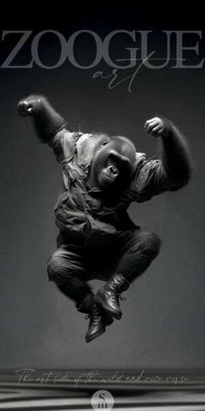 zoogue%20art_18.jpeg