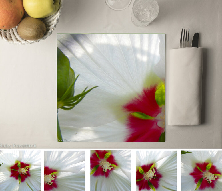 fiore bianco