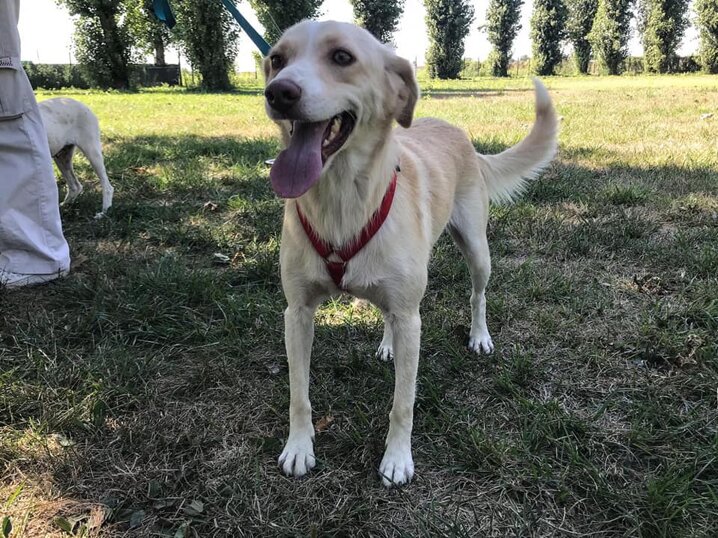 Femmina, nata a Maggio 2018