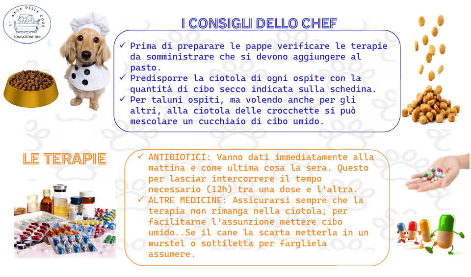 395db46e-ca27-4191-98ac-f00ccaf0d000