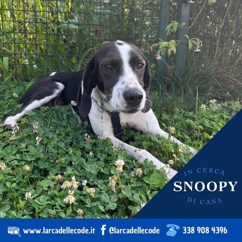 dcfe8ec1-d9db-4edb-8fda-042b6eb4e478