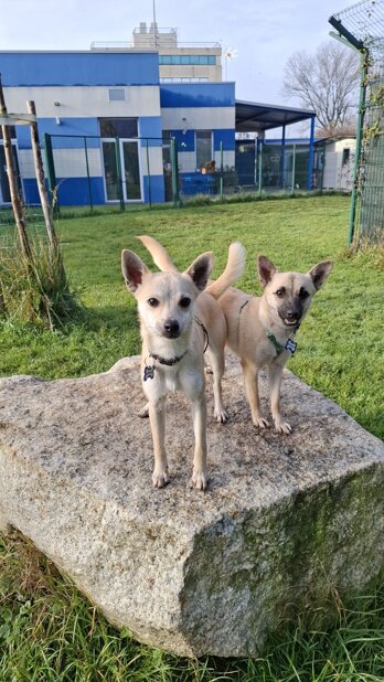 1765311422168.jpeg 1765311422168.jpeg