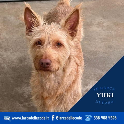 e83955cf-2019-4860-8114-f85e7f5b817f