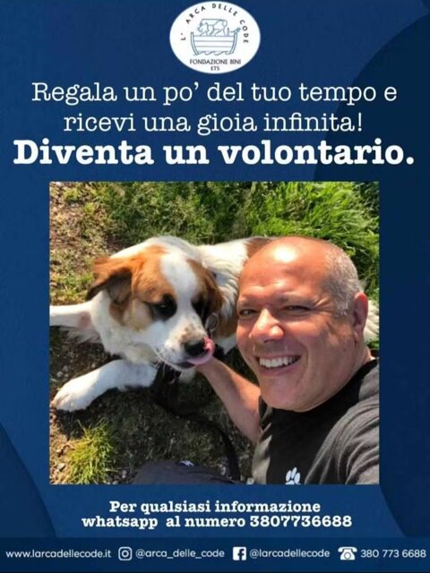 2cd596e6-03cf-45a3-9281-1093f2c87bf1