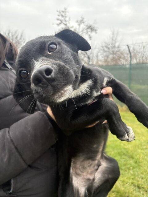 d61d9b66-aa5b-4094-b1c9-e4a53bb8ee09_1_105_c.jpeg d61d9b66-aa5b-4094-b1c9-e4a53bb8ee09_1_105_c.jpeg