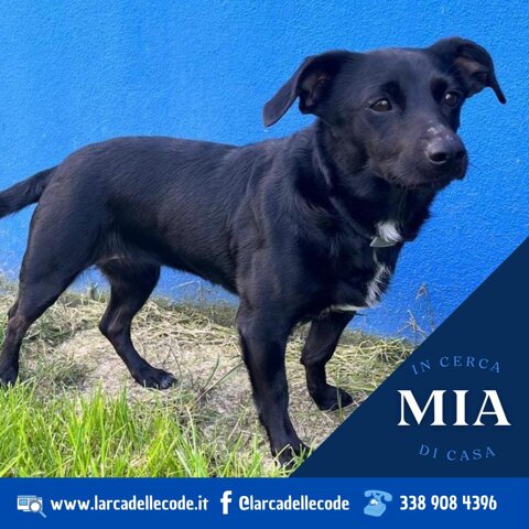 c8f9fca8-661d-48cf-89c6-9f4c52e8a3ad