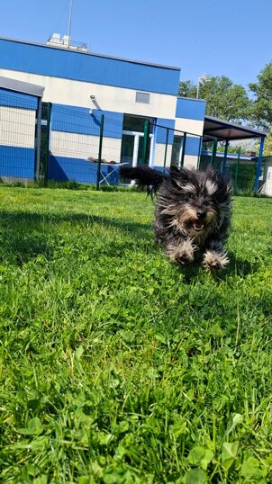 Femmina, nata a settembre 2023