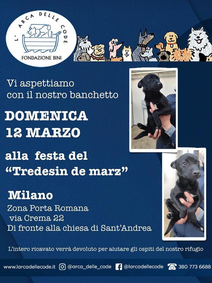 e26069bd-ab6f-4851-9177-f81c609e7a6e