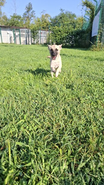 img-20250816-wa0007.jpeg img-20250816-wa0007.jpeg