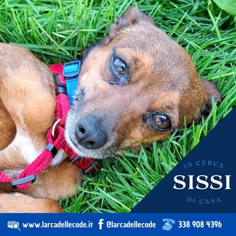 0064a2f0-a052-45b3-969c-ecd7214f8ba0