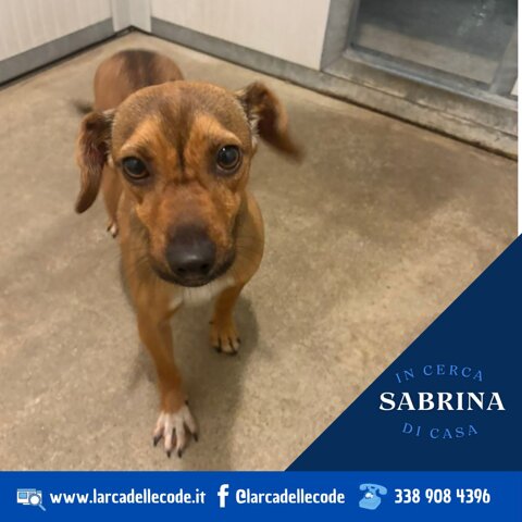 07cc583a-7b2f-4d04-bd75-de80092b8e26