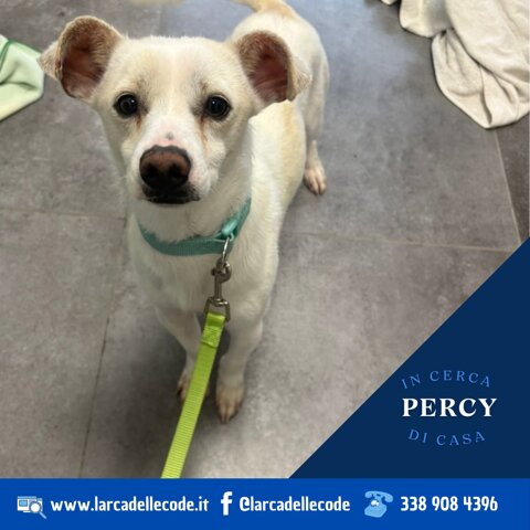 32408ec4-28b5-4f14-bedc-dde5258b05e3