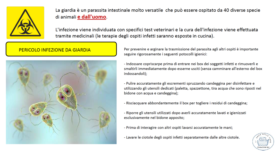 fdf2a9ba-7acc-4a57-93a5-f86e15f1e8a6