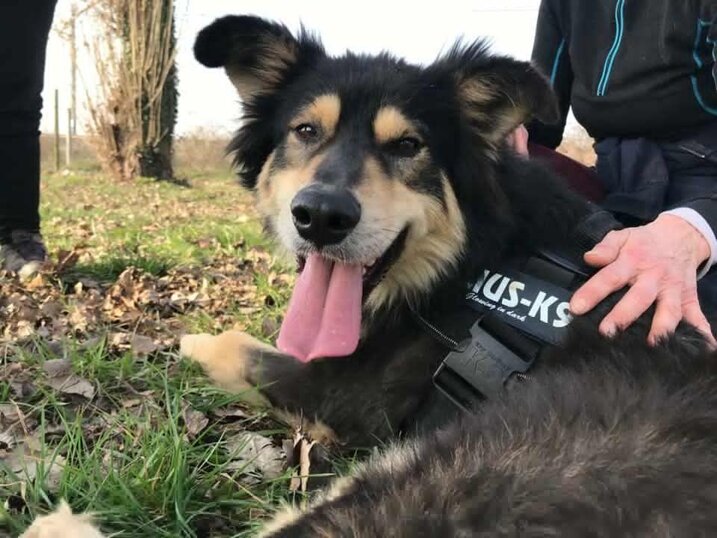 Maschio, Nato a Febbraio 2020, Taglia Grande