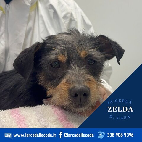 8b5c1d01-2d05-4992-8e07-7e53758a7250