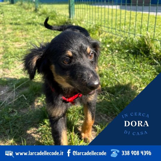 Femmina, nata a gennaio 2025