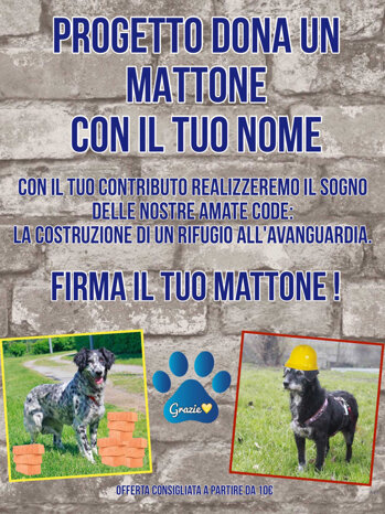 5cdfa482-9f26-45ff-84b6-987bea9ad75b 5cdfa482-9f26-45ff-84b6-987bea9ad75b