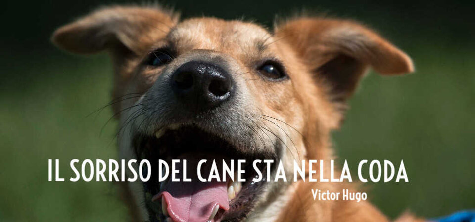 6091024f-6267-46f4-8851-5bd45bc61449 6091024f-6267-46f4-8851-5bd45bc61449