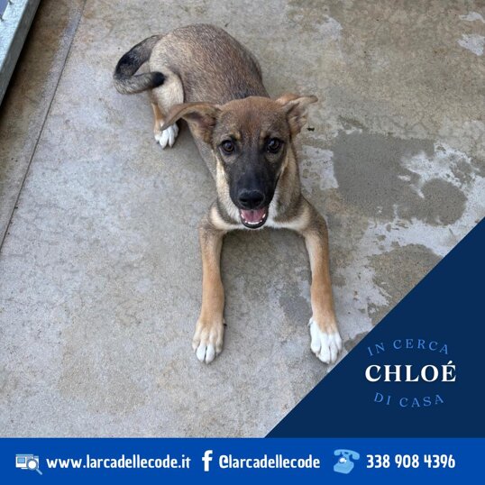 Femmina, nata a marzo 2025