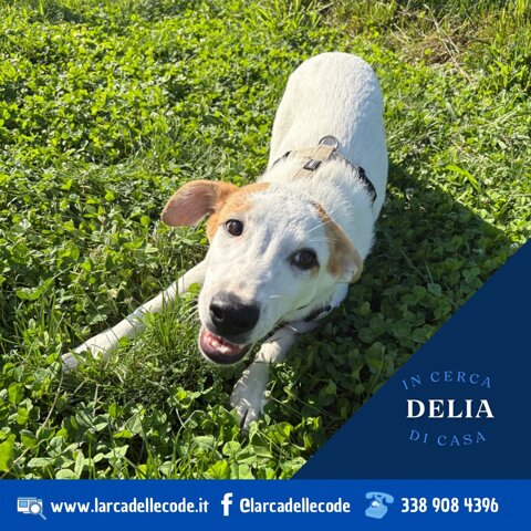 be1997da-1eca-4f21-8163-7e4946f49ba2