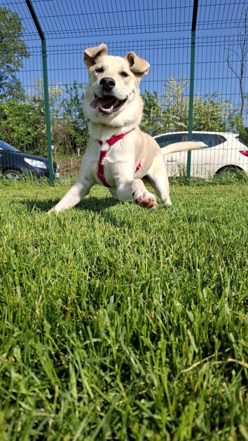 53c36e37-8d3e-45e9-885d-c5080008facf 53c36e37-8d3e-45e9-885d-c5080008facf