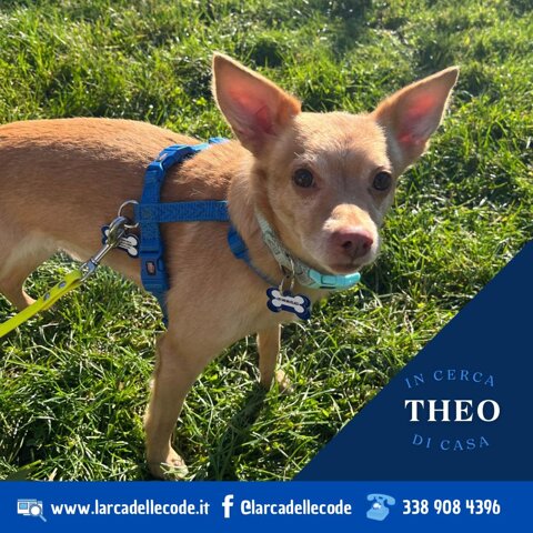 7e34ad98-4ae2-485d-85a5-f074ebb58854