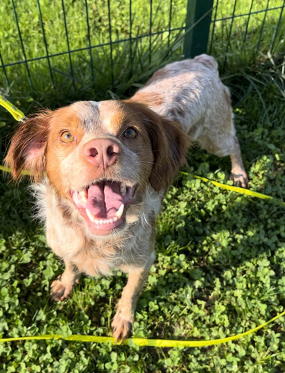 maschio, nato a novembre 2022, taglia media