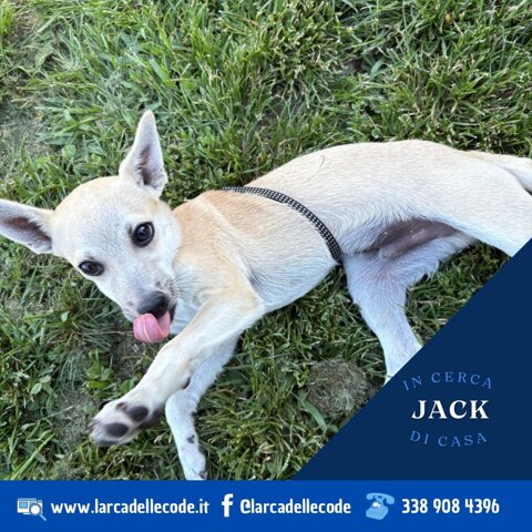 2938e981-4847-4ef7-a50b-32f498c96070