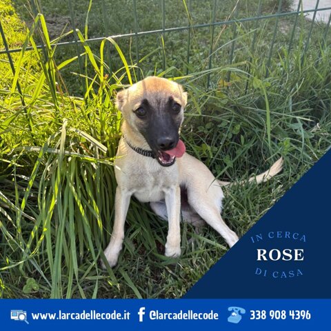 9f01ece2-a1fc-467c-b523-dee105d5f439